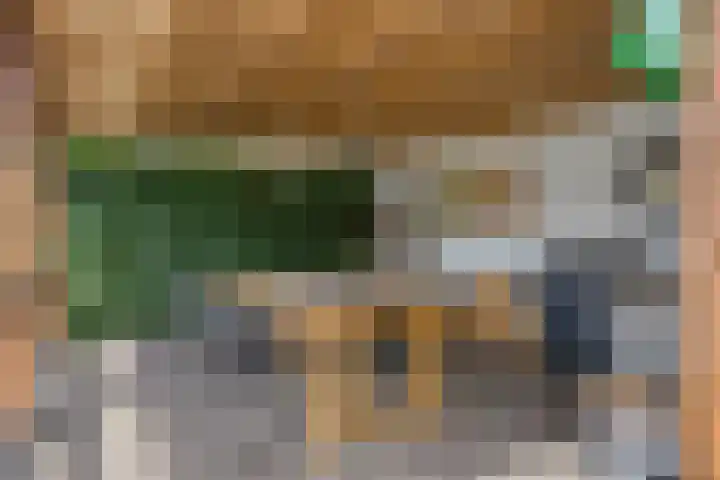 Meertensweg 21 Gieterveen thumbnail 41