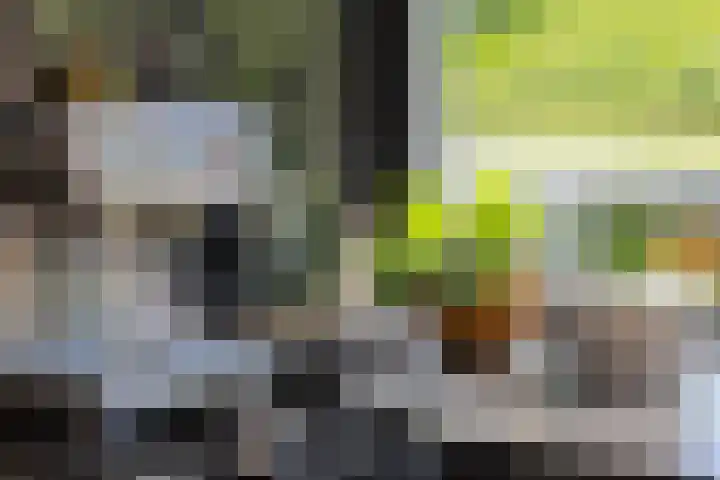 Meerum Terwogtlaan 179 Rotterdam thumbnail 11