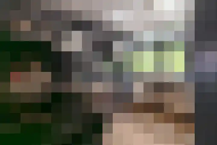 Meerum Terwogtlaan 179 Rotterdam thumbnail 13