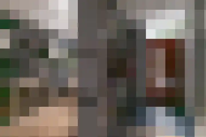 Meerum Terwogtlaan 179 Rotterdam thumbnail 4