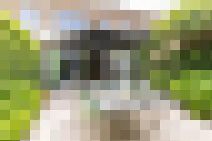 Meerum Terwogtlaan 259 Rotterdam thumbnail 10