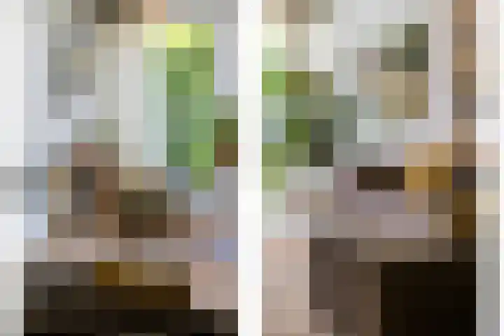 Meerum Terwogtlaan 259 Rotterdam thumbnail 17