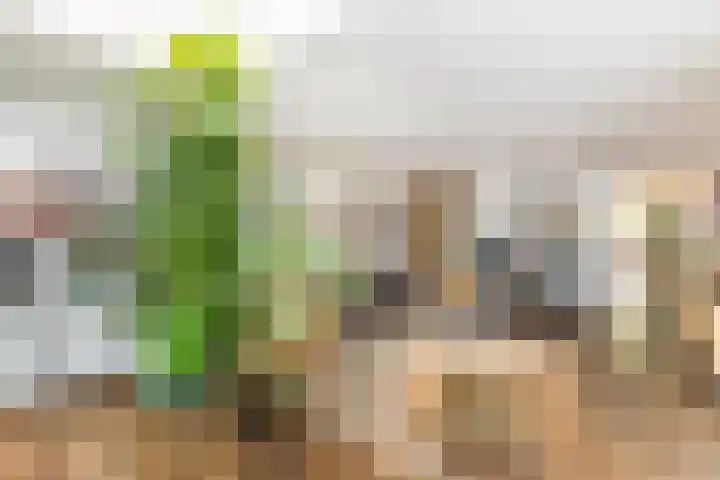 Meerum Terwogtlaan 259 Rotterdam thumbnail 18