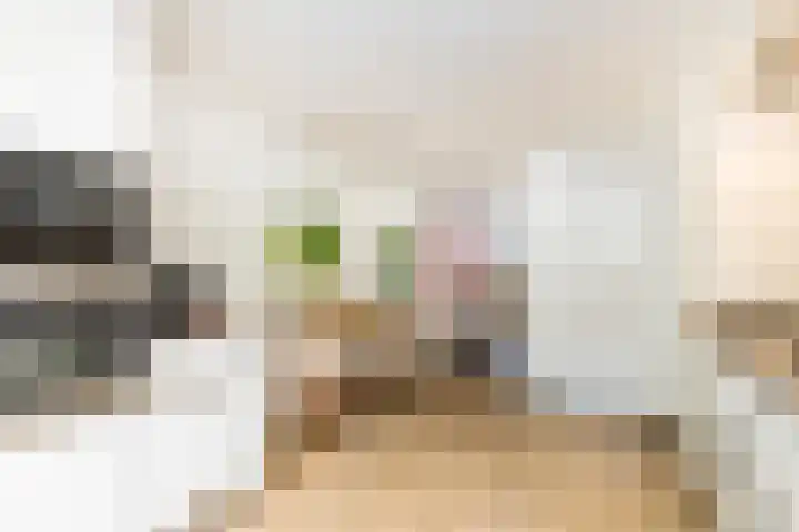 Meerum Terwogtlaan 259 Rotterdam thumbnail 19