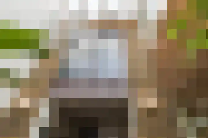 Meerum Terwogtlaan 259 Rotterdam thumbnail 23