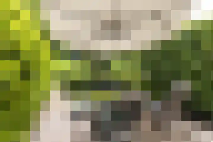 Meerum Terwogtlaan 259 Rotterdam thumbnail 28