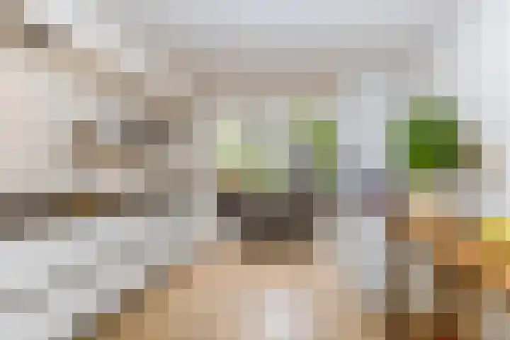 Meerum Terwogtlaan 259 Rotterdam thumbnail 4