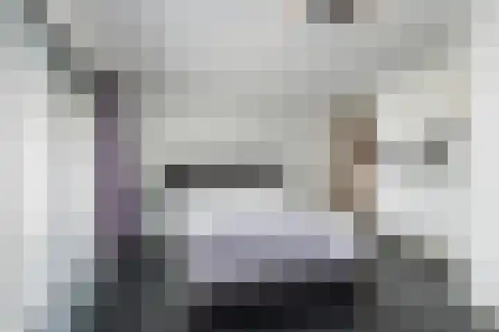 Meerum Terwogtlaan 259 Rotterdam thumbnail 40