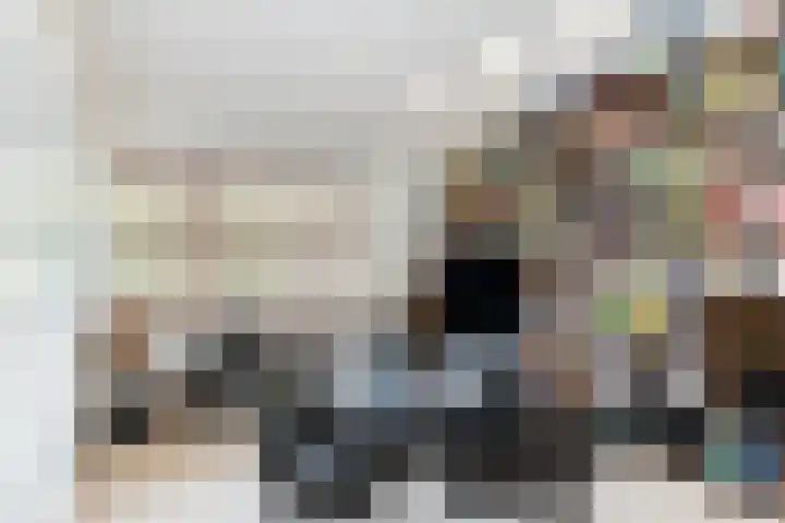 Meerum Terwogtlaan 259 Rotterdam thumbnail 43