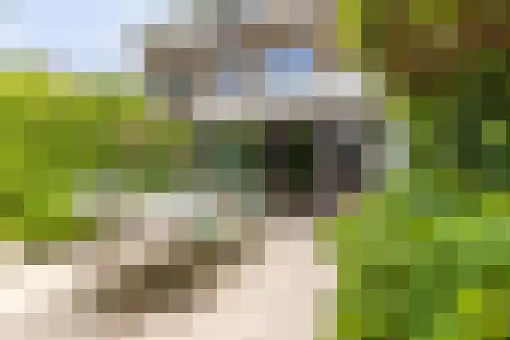 Meerum Terwogtlaan 259 Rotterdam thumbnail 48