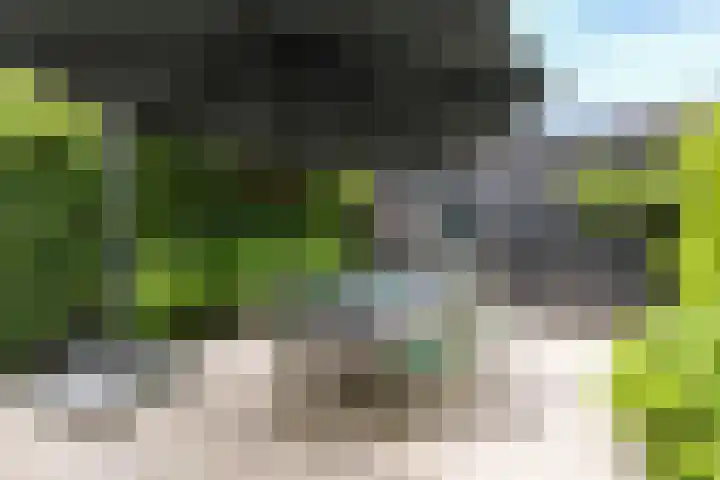 Meerum Terwogtlaan 259 Rotterdam thumbnail 51