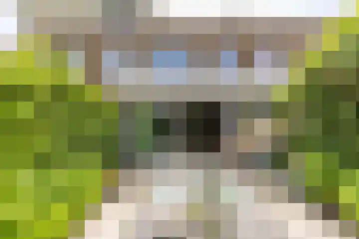Meerum Terwogtlaan 259 Rotterdam thumbnail 52