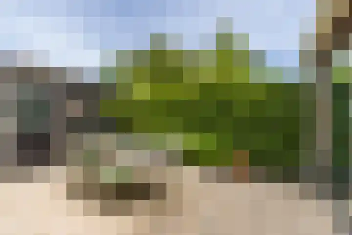 Meerum Terwogtlaan 259 Rotterdam thumbnail 53