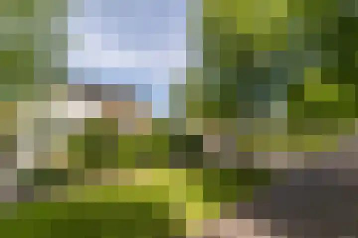 Meerum Terwogtlaan 259 Rotterdam thumbnail 57
