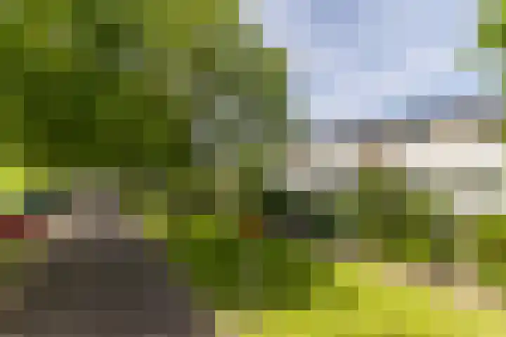 Meerum Terwogtlaan 259 Rotterdam thumbnail 58