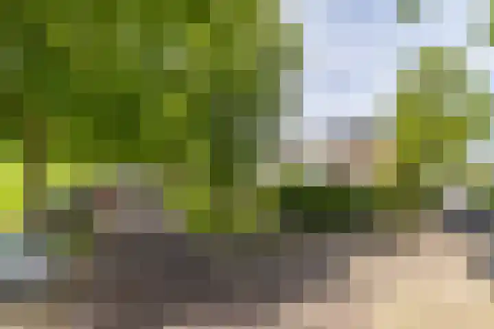 Meerum Terwogtlaan 259 Rotterdam thumbnail 59