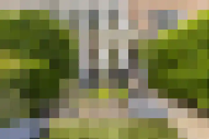 Meerum Terwogtlaan 259 Rotterdam thumbnail 6