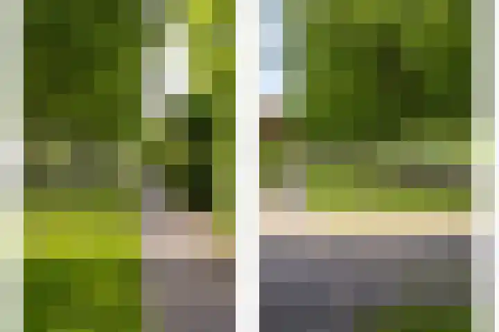 Meerum Terwogtlaan 259 Rotterdam thumbnail 63