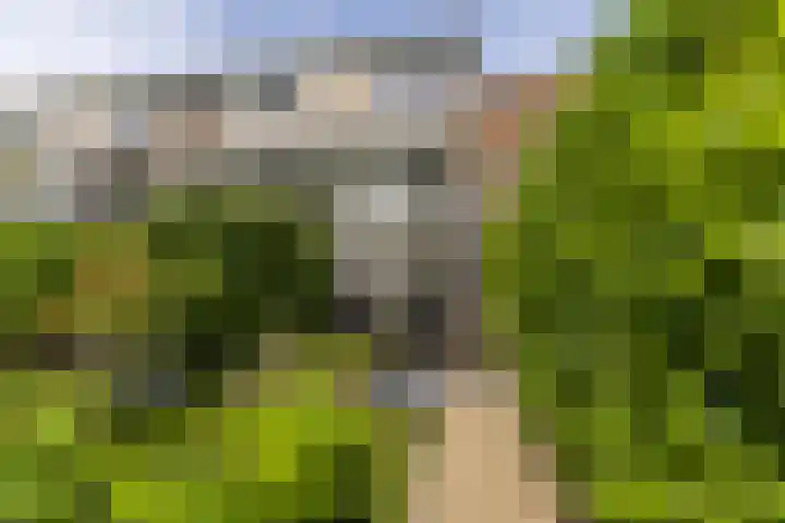 Meerum Terwogtlaan 259 Rotterdam thumbnail 69