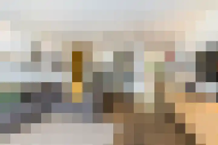 Meerum Terwogtlaan 259 Rotterdam thumbnail 8