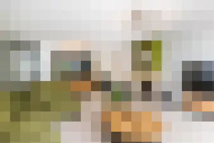 Meerum Terwogtlaan 267 Rotterdam thumbnail 10