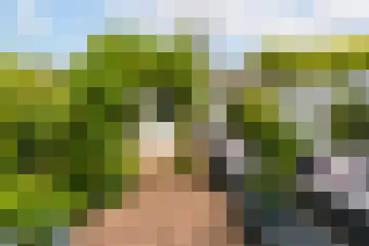 Meerum Terwogtlaan 267 Rotterdam thumbnail 14