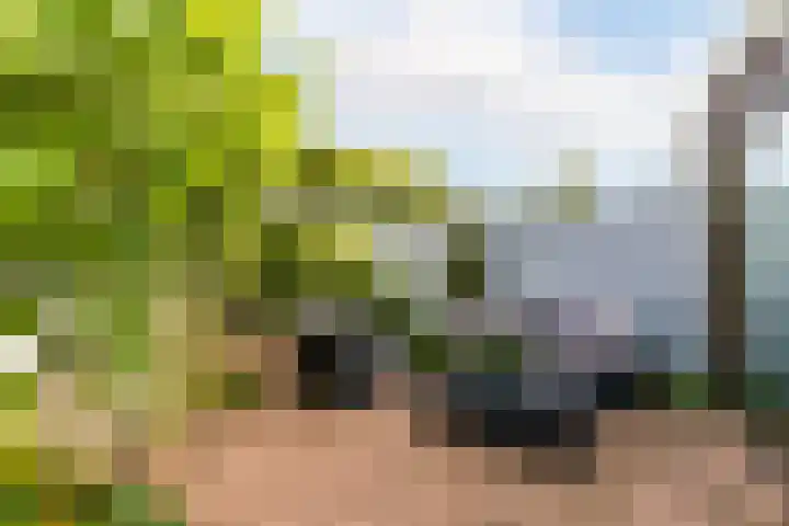 Meerum Terwogtlaan 267 Rotterdam thumbnail 15