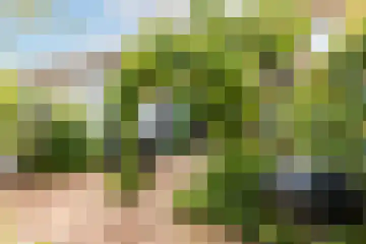 Meerum Terwogtlaan 267 Rotterdam thumbnail 16