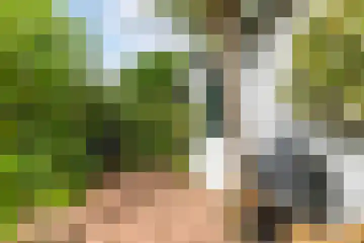 Meerum Terwogtlaan 267 Rotterdam thumbnail 18