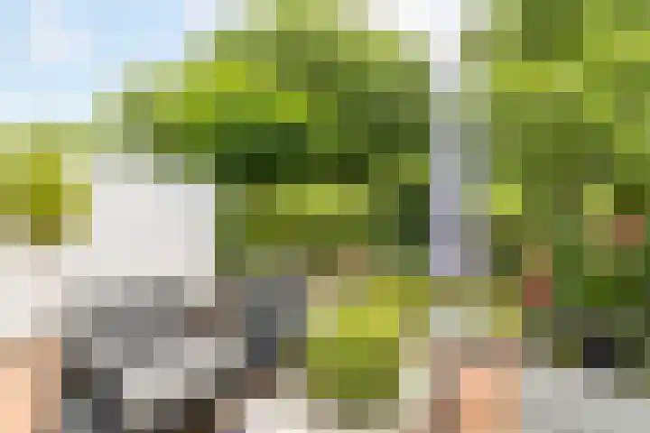 Meerum Terwogtlaan 267 Rotterdam thumbnail 29