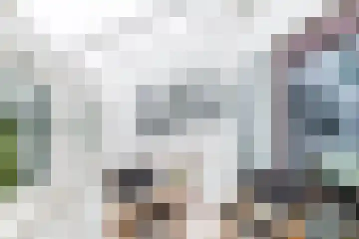 Meerum Terwogtlaan 267 Rotterdam thumbnail 34