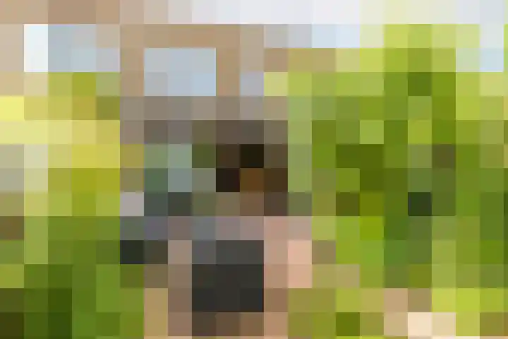 Meerum Terwogtlaan 267 Rotterdam thumbnail 4