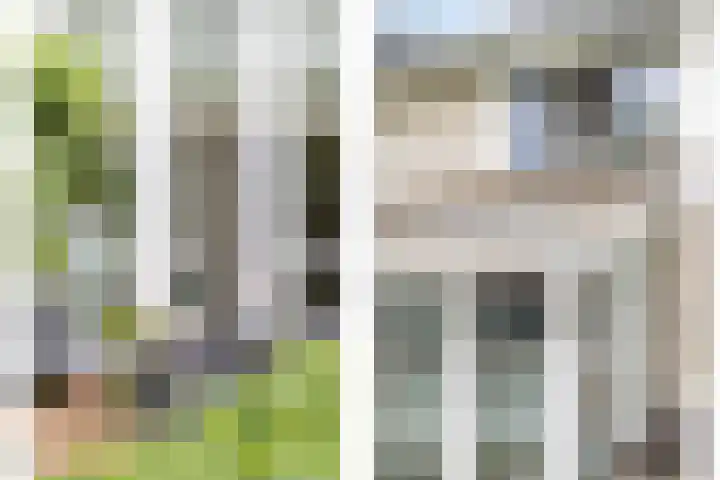 Meerum Terwogtlaan 267 Rotterdam thumbnail 5