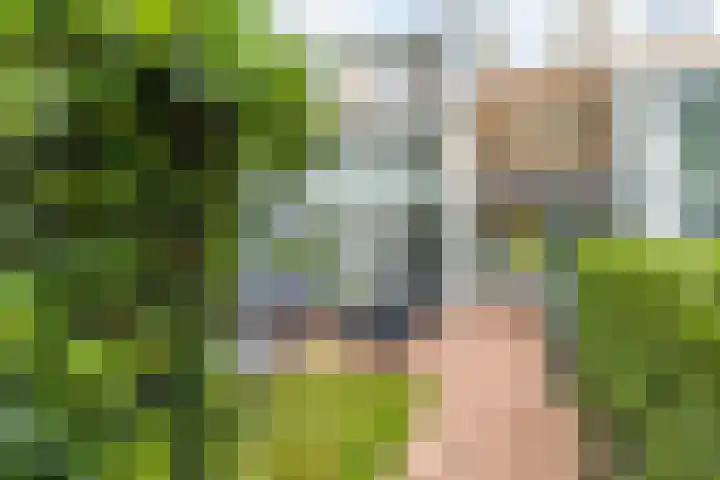 Meerum Terwogtlaan 267 Rotterdam thumbnail 53