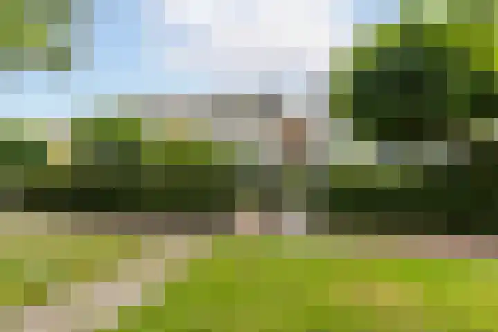 Meerum Terwogtlaan 267 Rotterdam thumbnail 55