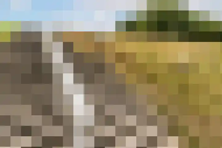 Meerum Terwogtlaan 267 Rotterdam thumbnail 58
