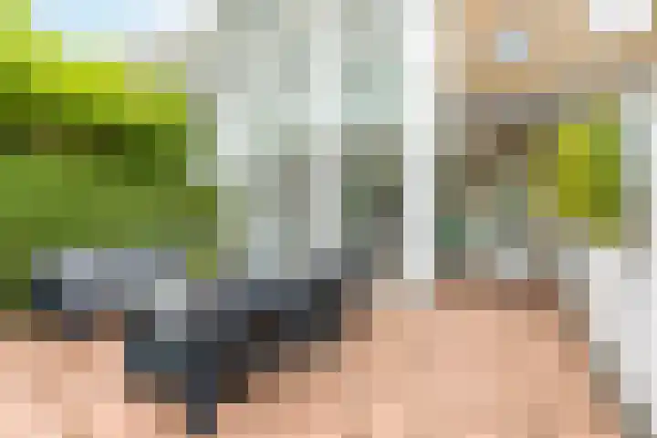 Meerum Terwogtlaan 267 Rotterdam thumbnail 6