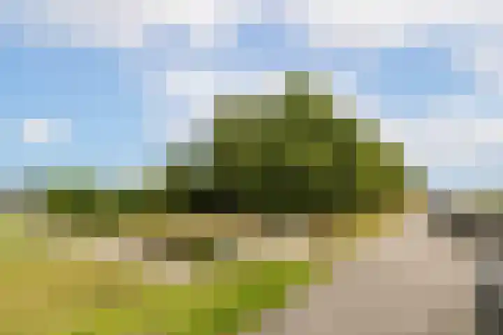 Meerum Terwogtlaan 267 Rotterdam thumbnail 60
