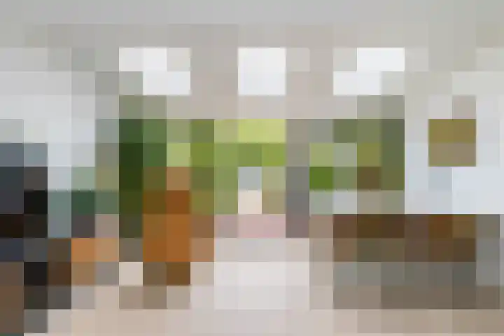 Meerum Terwogtlaan 267 Rotterdam thumbnail 7