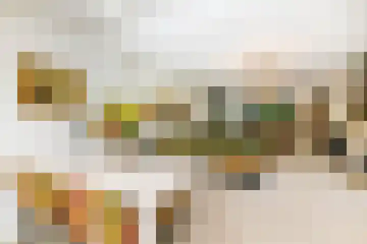 Meerum Terwogtlaan 267 Rotterdam thumbnail 8