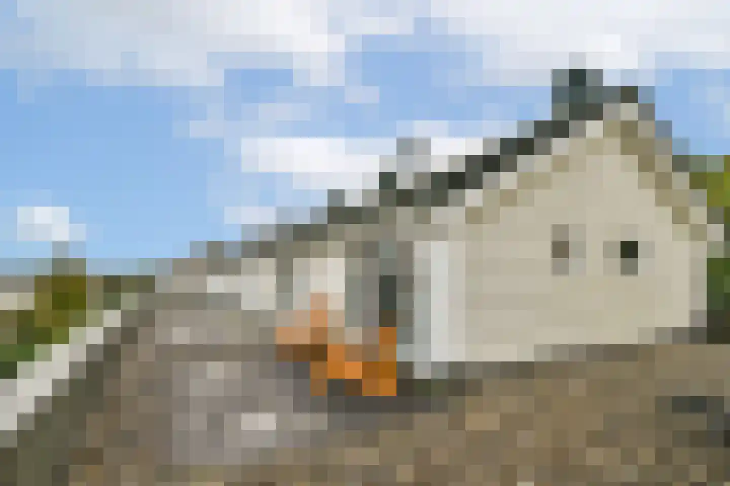 Meerum Terwogtlaan 269 Rotterdam thumbnail 11