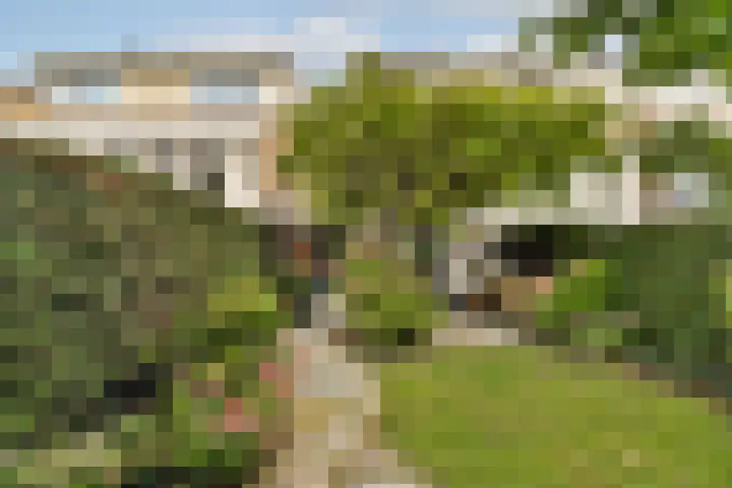 Meerum Terwogtlaan 269 Rotterdam thumbnail 4