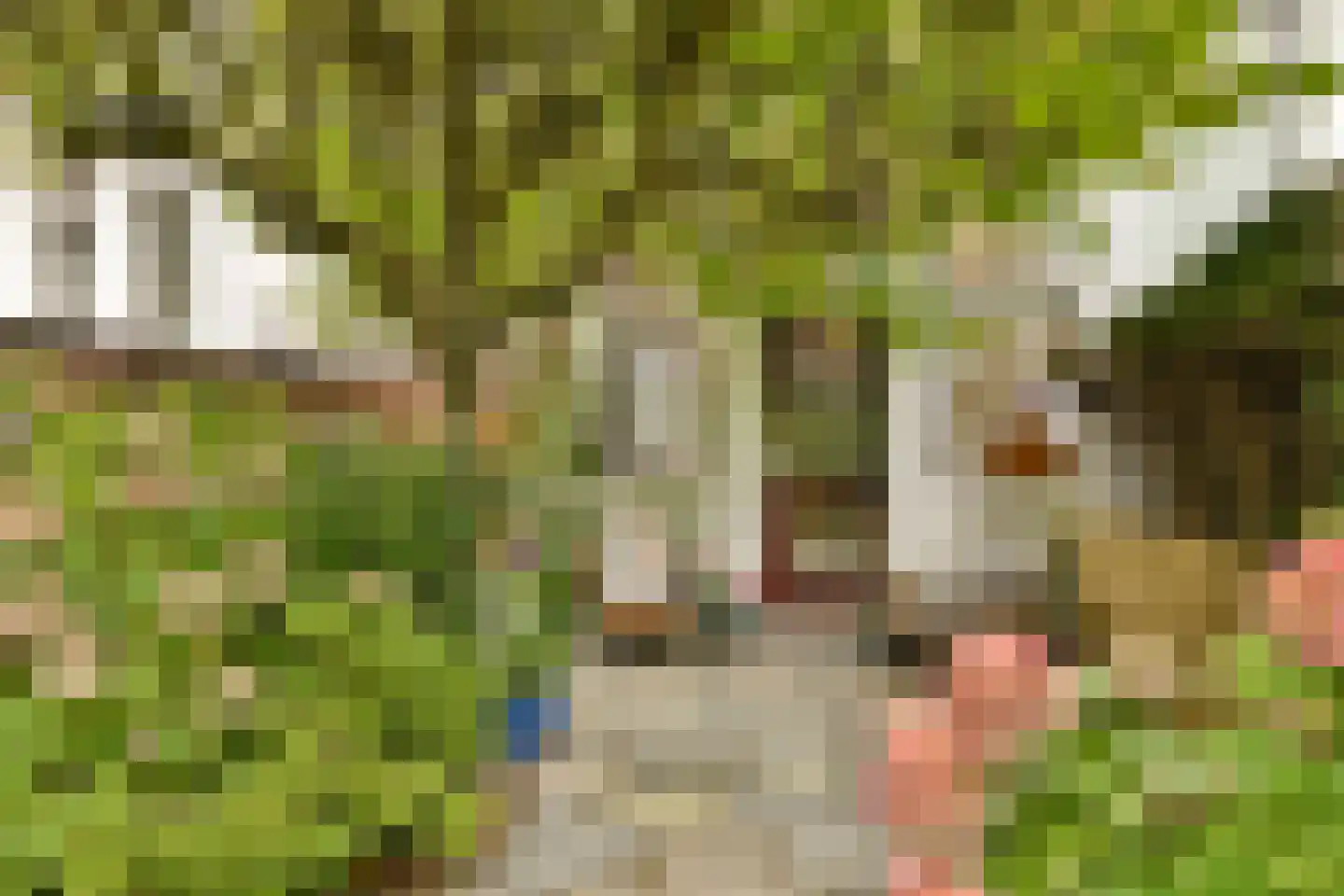 Meerum Terwogtlaan 269 Rotterdam thumbnail 6