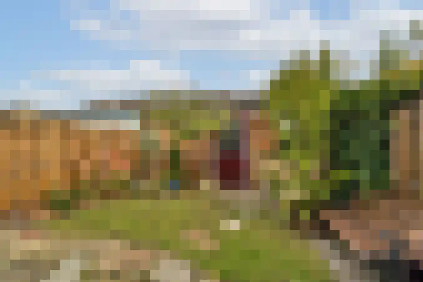 Meerum Terwogtlaan 269 Rotterdam thumbnail 8