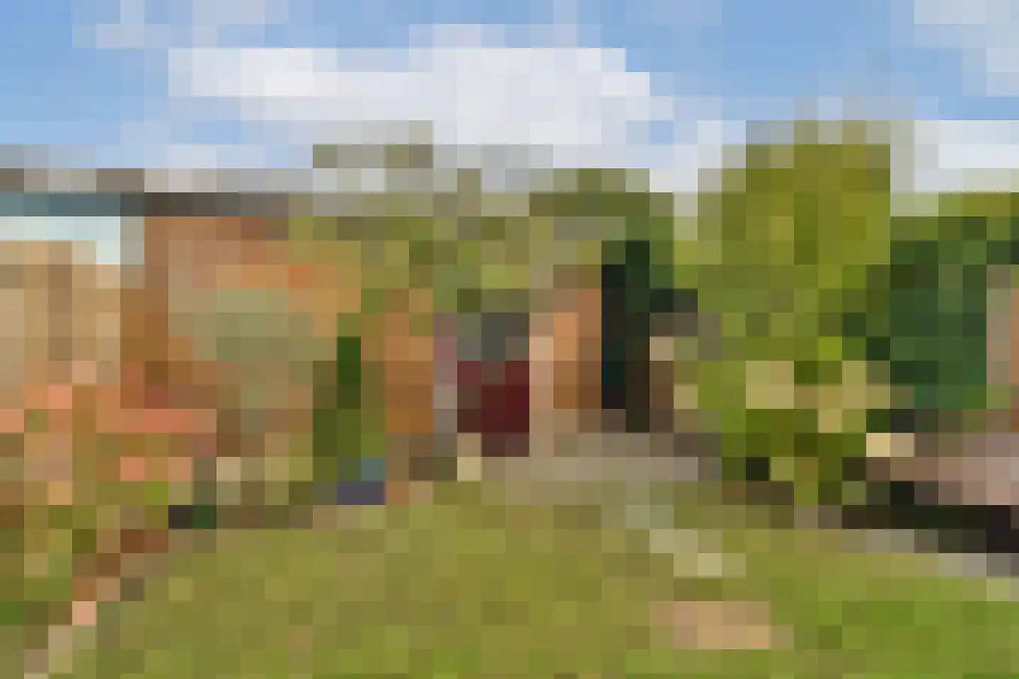 Meerum Terwogtlaan 269 Rotterdam thumbnail 9