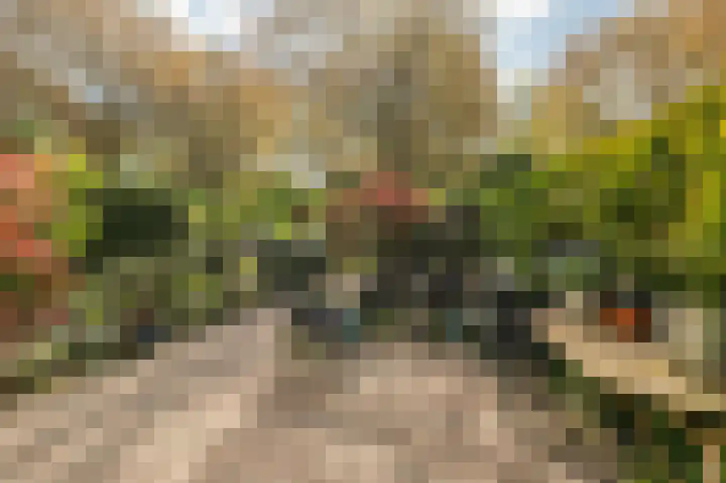 Meerum Terwogtlaan 283 Rotterdam thumbnail 18