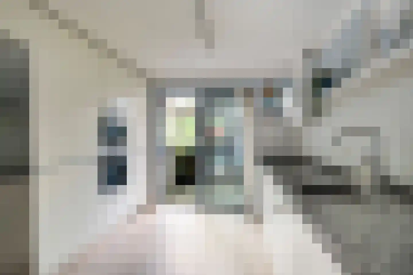 Meerum Terwogtlaan 283 Rotterdam thumbnail 5