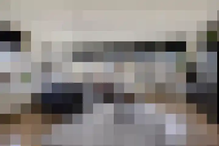 Meerval 1 Amersfoort thumbnail 13