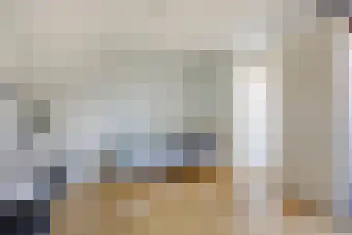 Meerval 1 Amersfoort thumbnail 23