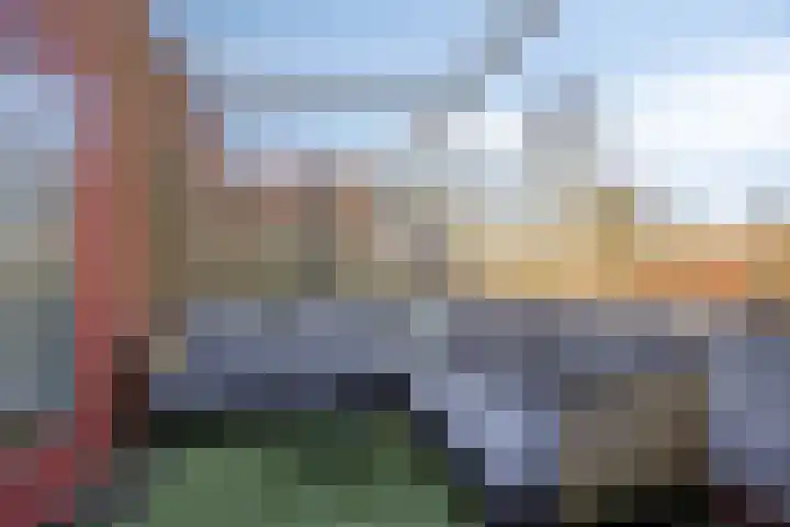 Meerval 1 Amersfoort thumbnail 25